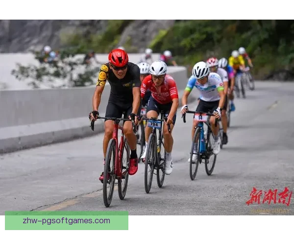 山地车杯赛：骑行挑战、速度与激情